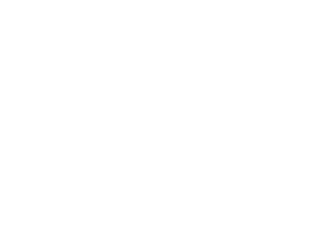 The Visionaries
