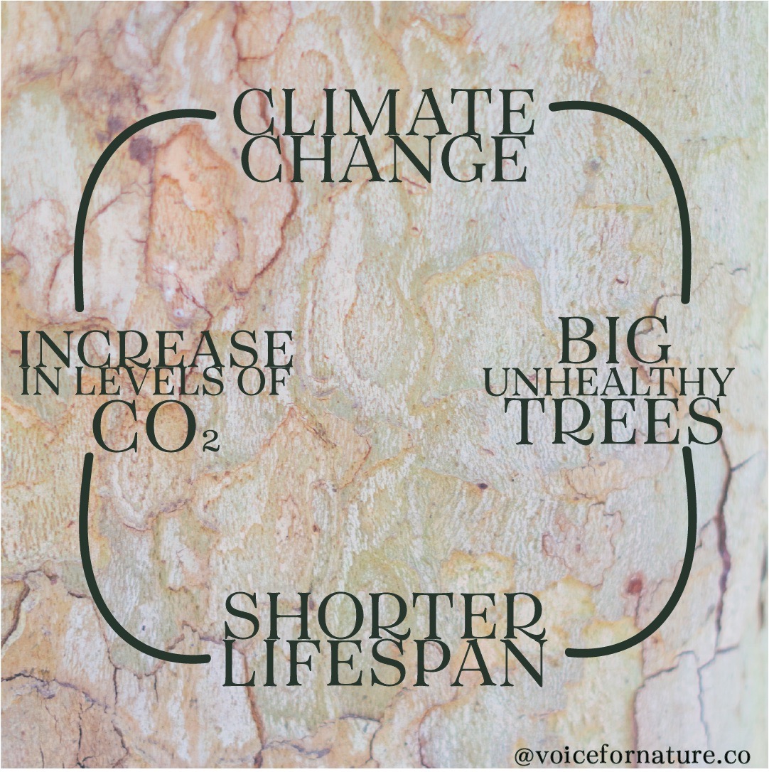 Your Nature Questions… 1 Voice for Nature