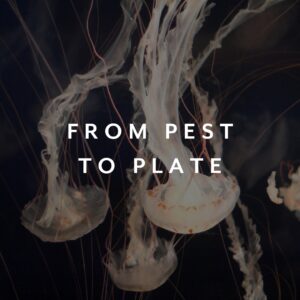 Pest to Plate