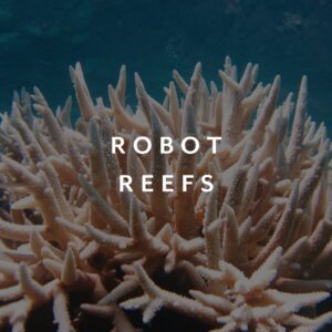 Robot Reefs