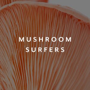 Mushroom Surfers