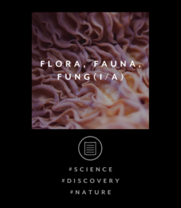 FLORA, FAUNA, FUNG(I/A)