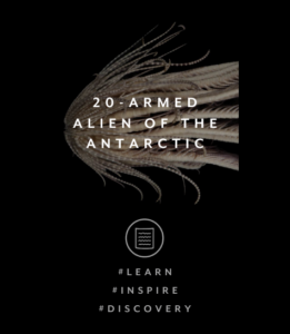 20-ARMED ALIEN OF THE ANTARCTIC