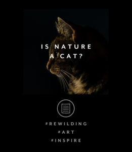 IS NATURE A CAT?