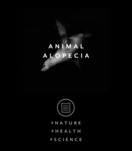 ANIMAL ALOPECIA 