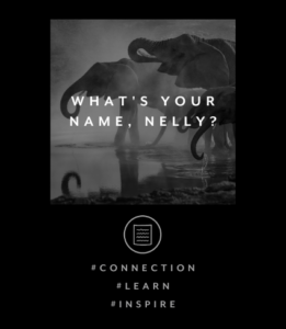 WHAT'S YOUR NAME, NELLY?