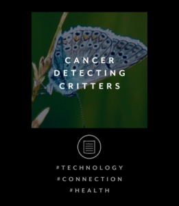 CANCER DETECTING CRITTERS
