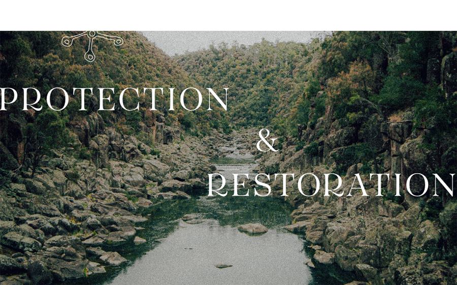 A photograph of a rocky and serene riverbed surrounded by a wilderness of trees. With overlaid text reading protection & restoration'